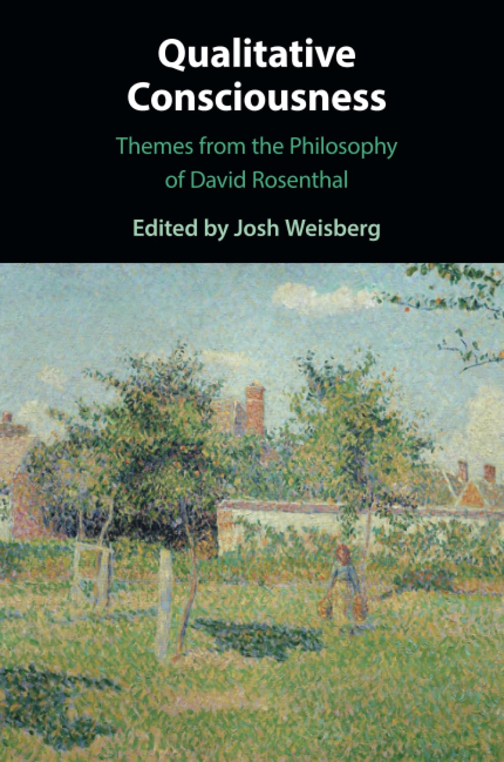 Qualitative Consciousness: Themes from the Philosophy of David Rosenthal Philosophy