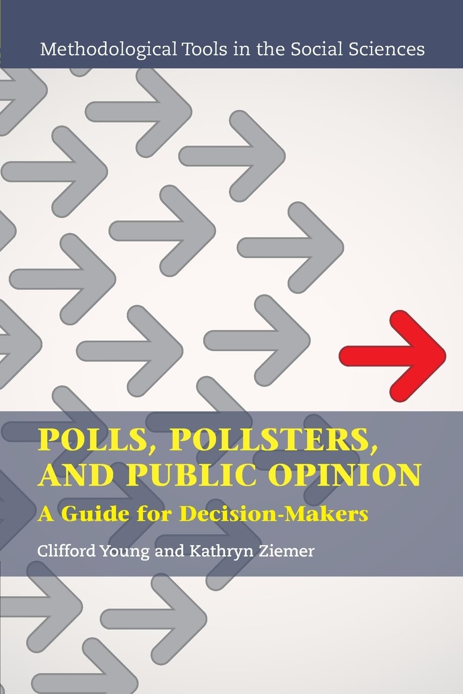 Polls, Pollsters, and Public Opinion: A Guide for Decision-makers (Methodological Tools in the Social Sciences) Natural Sciences