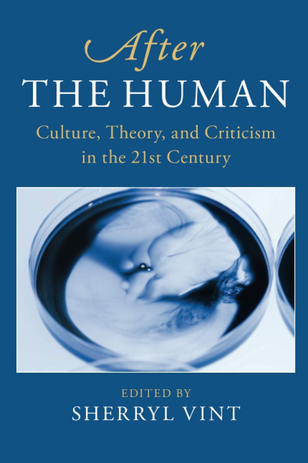 After the Human: Culture, Theory and Criticism in the 21st Century Philosophy