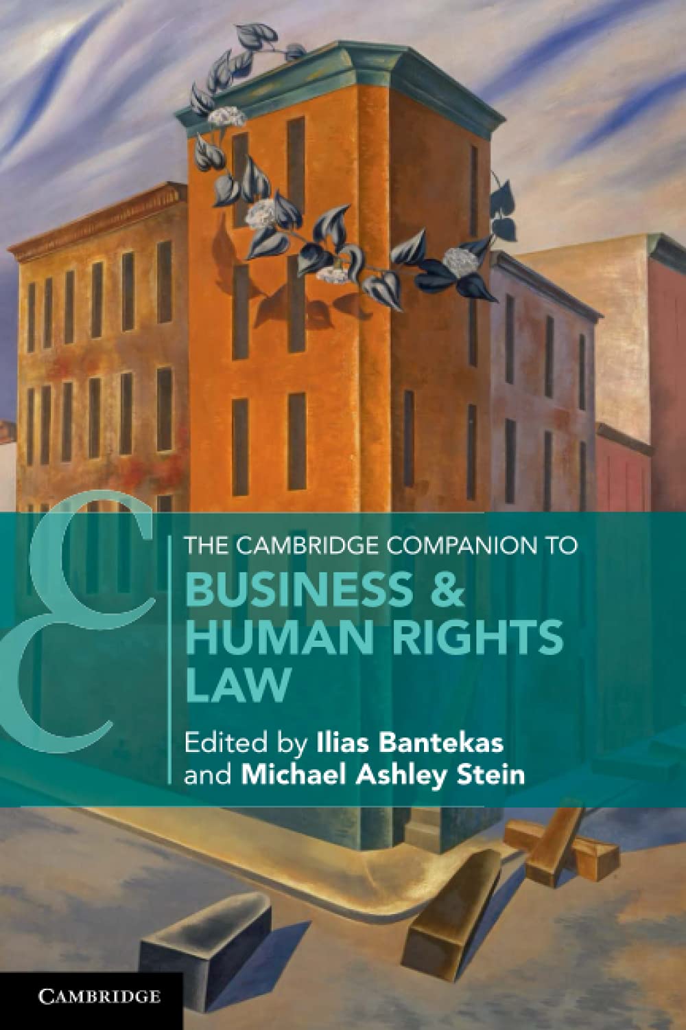 The Cambridge Companion to Business & Human Rights Law book