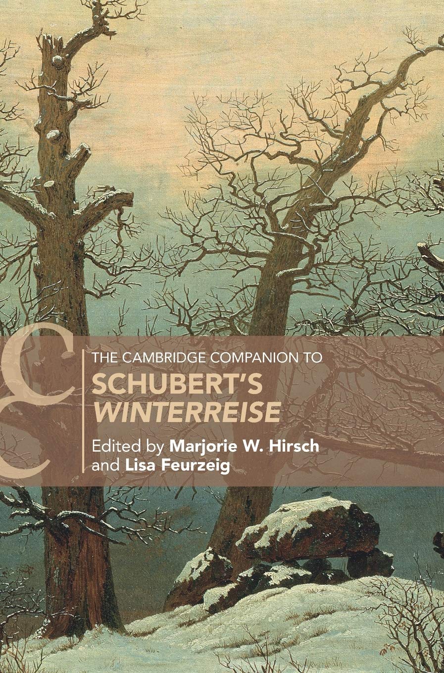 The Cambridge Companion to Schubert's Winterreise (Cambridge Companions to Music) Arts & Music