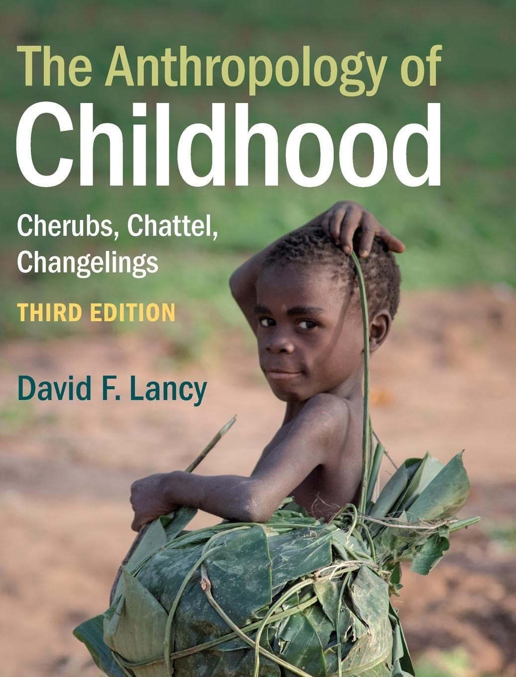 The Anthropology of Childhood: Cherubs, Chattel, Changelings Law