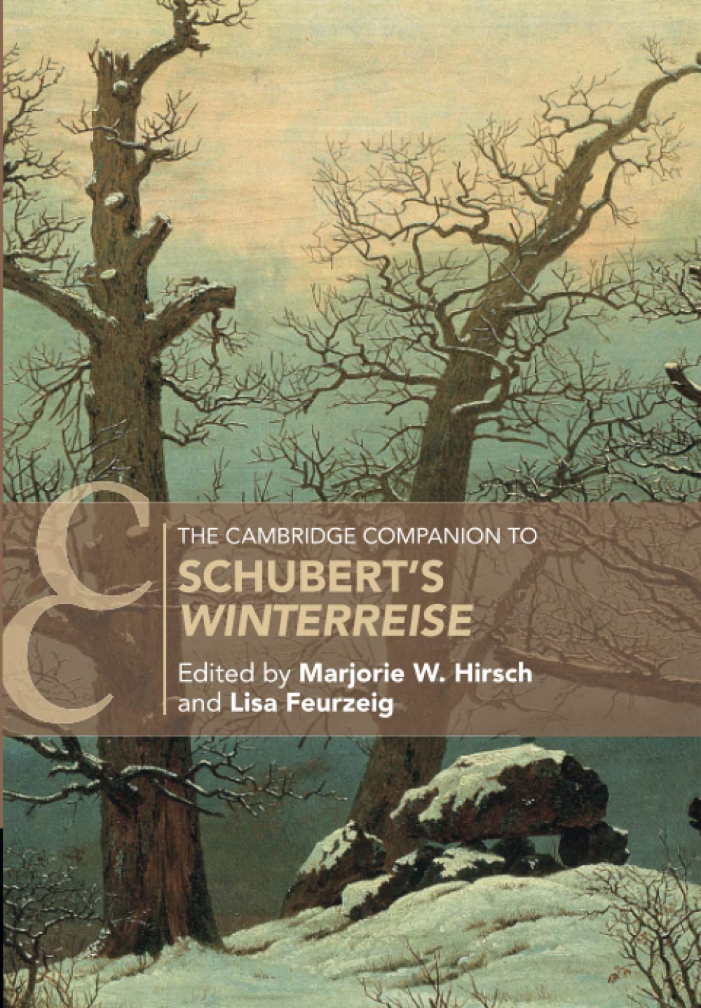 The Cambridge Companion to Schubert's ‘Winterreise' (Cambridge Companions to Music) Arts & Music