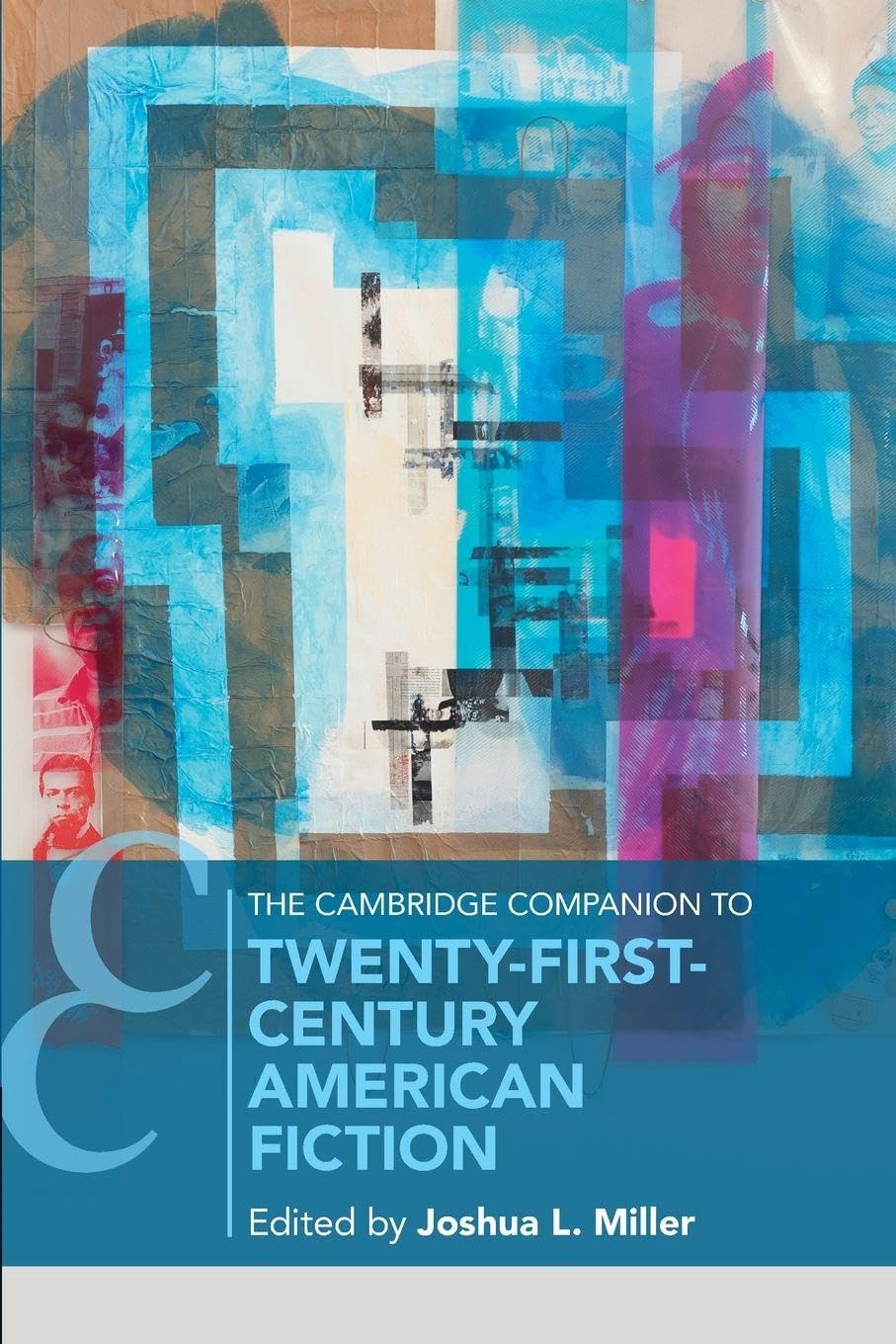 The Cambridge Companion to Twenty-First-Century American Fiction Social Sciences