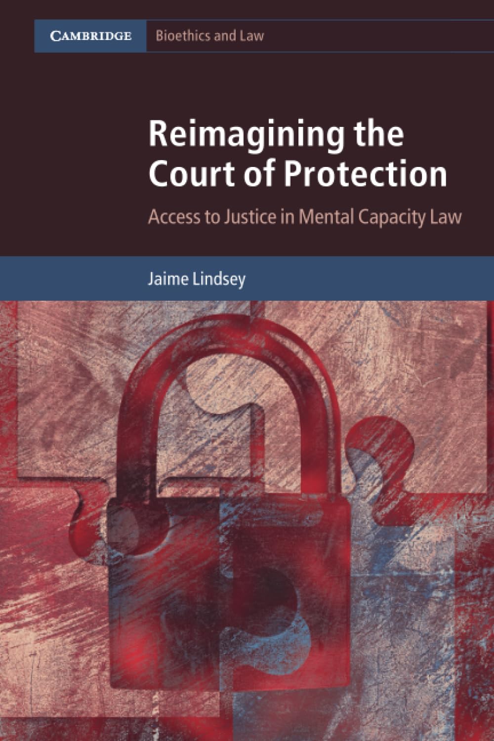 Reimagining the Court of Protection: Access to Justice in Mental Capacity Law (Cambridge Bioethics and Law) Medicine