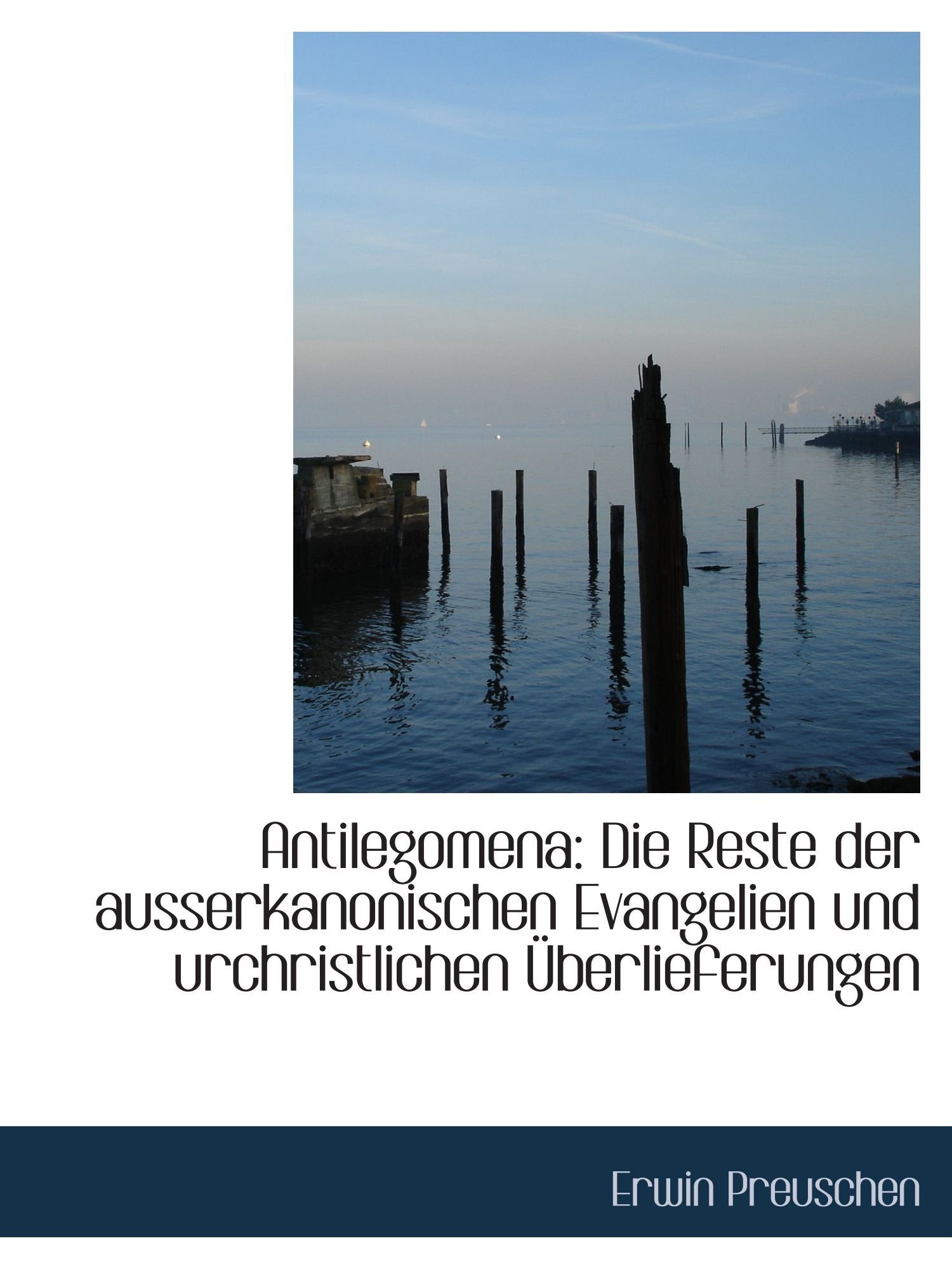 Antilegomena: Die Reste der ausserkanonischen Evangelien und urchristlichen Überlieferungen Politics & History