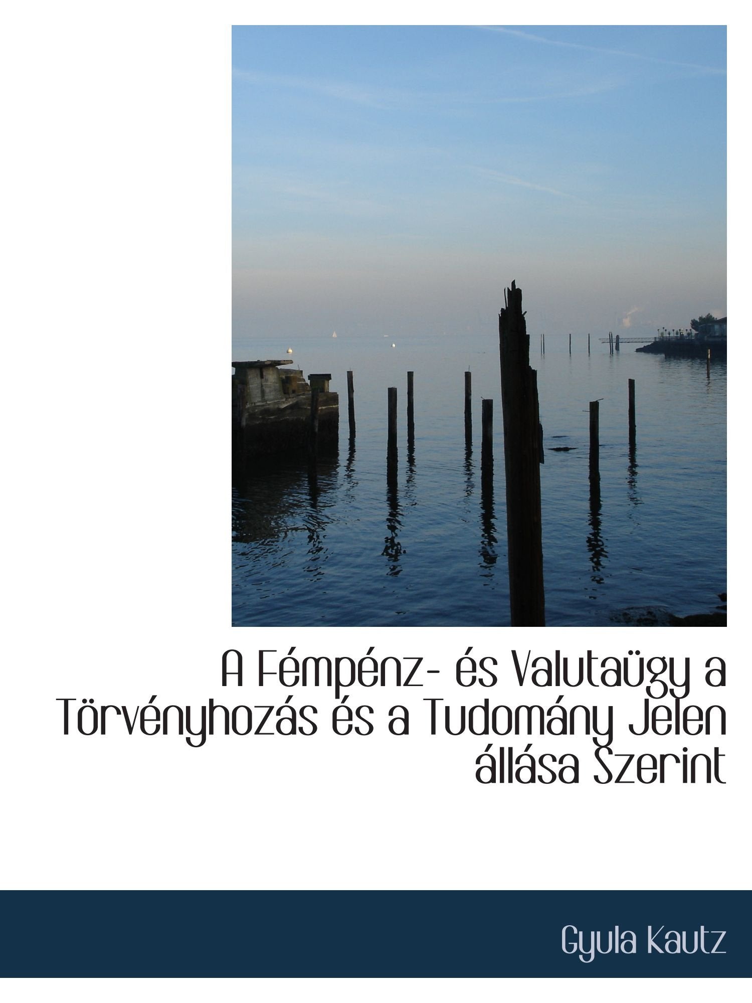 A Fémpénz- és Valutaügy a Törvényhozás és a Tudomány Jelen állása Szerint Politics & History