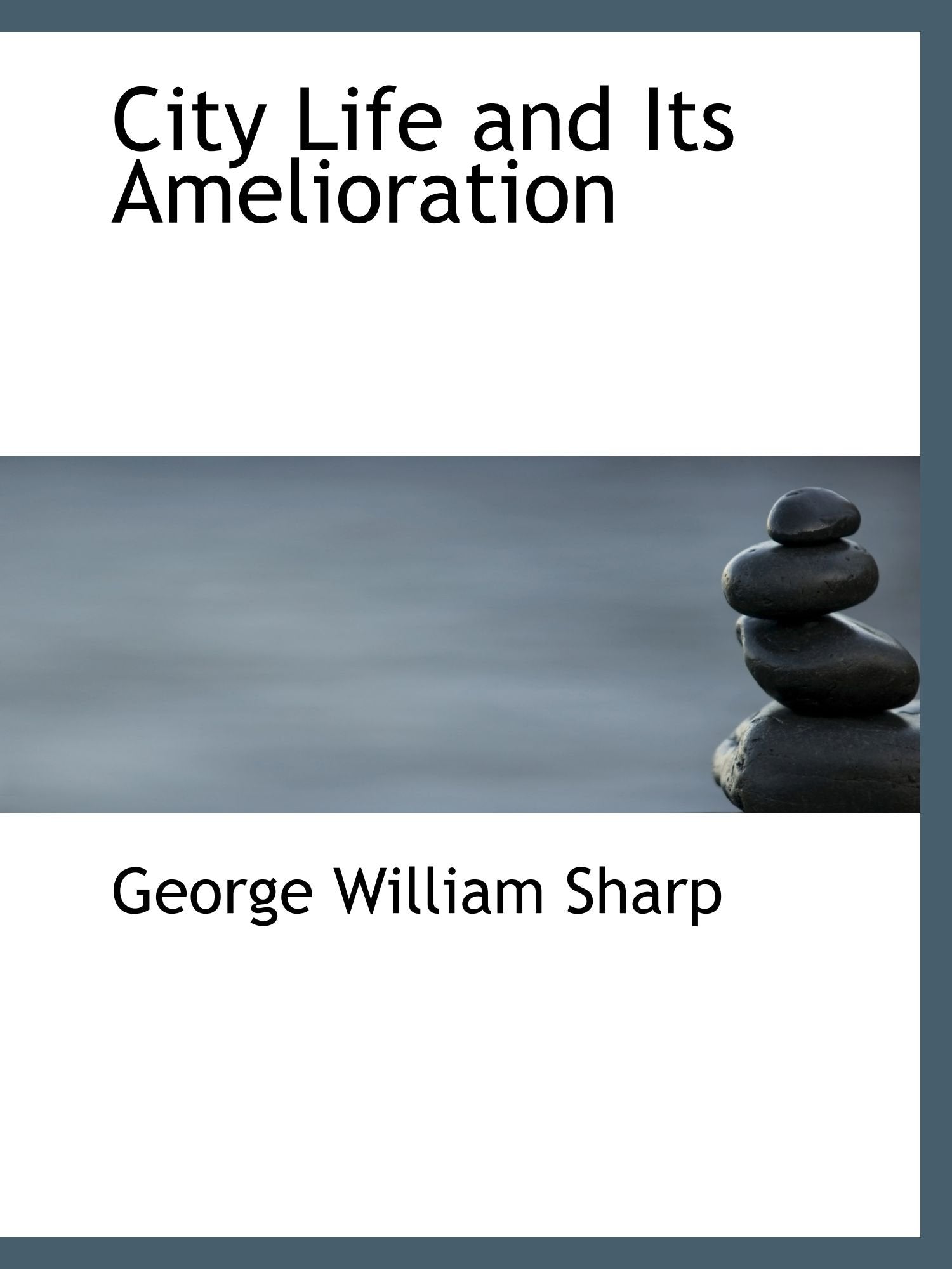 City Life and Its Amelioration Politics & History books