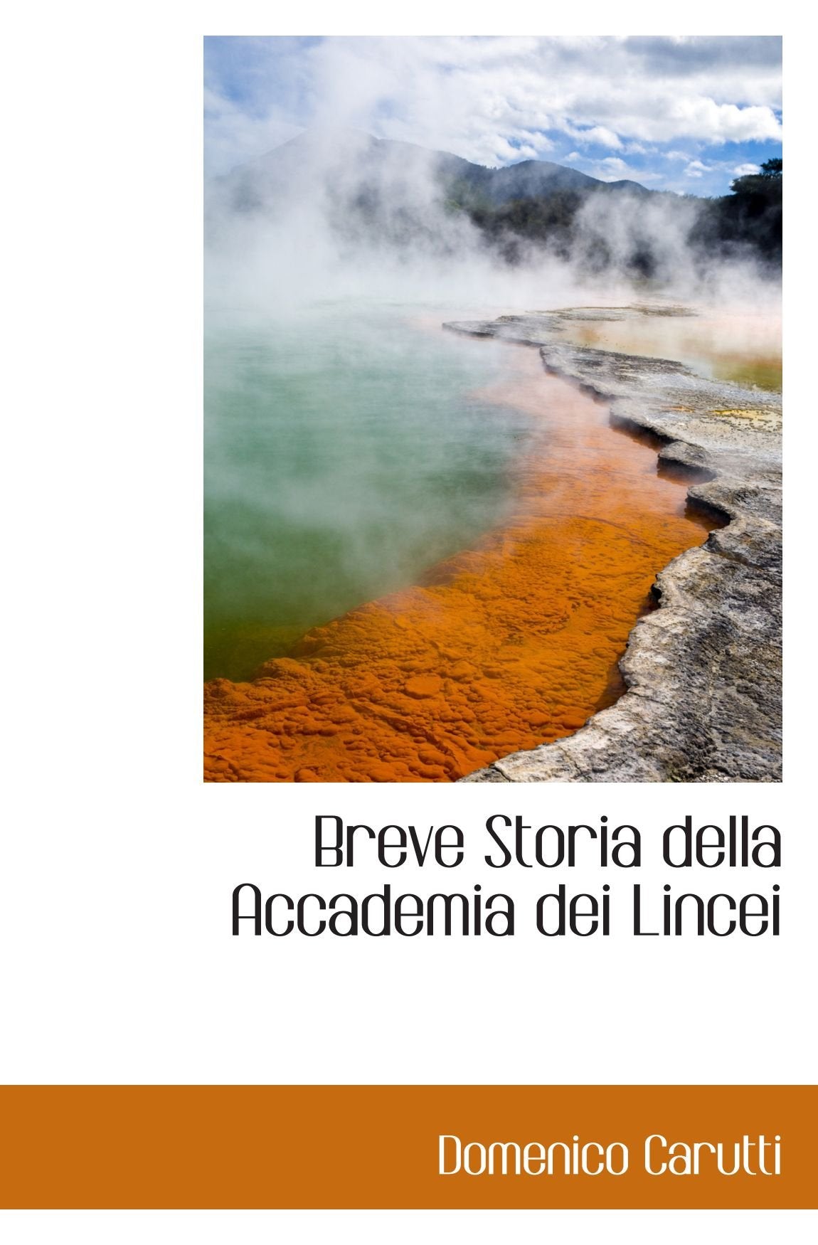 Breve Storia della Accademia dei Lincei Politics & History
