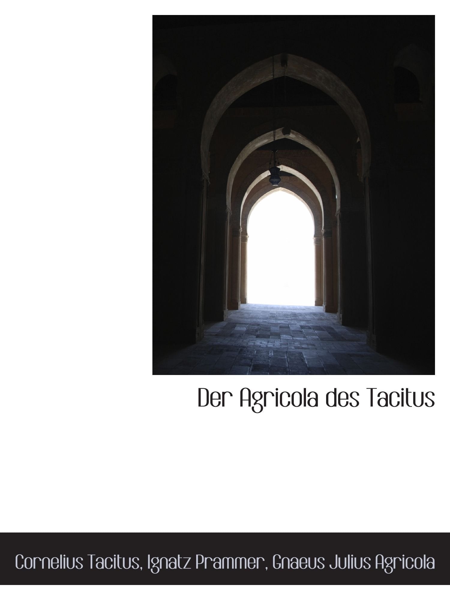 Der Agricola des Tacitus Politics & History
