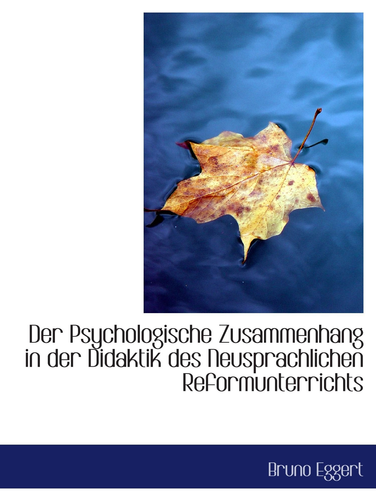 Der Psychologische Zusammenhang in der Didaktik des Neusprachlichen Reformunterrichts Politics & History