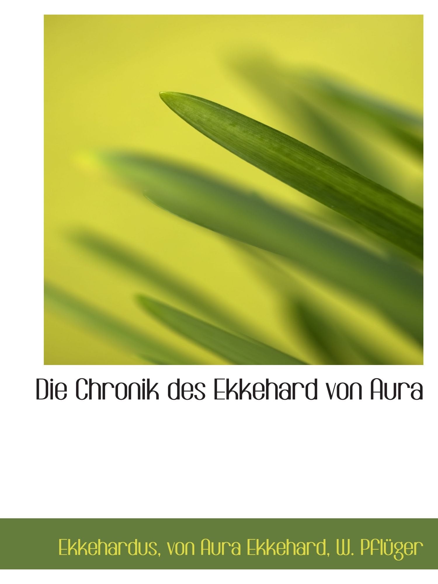Die Chronik des Ekkehard von Aura Politics & History