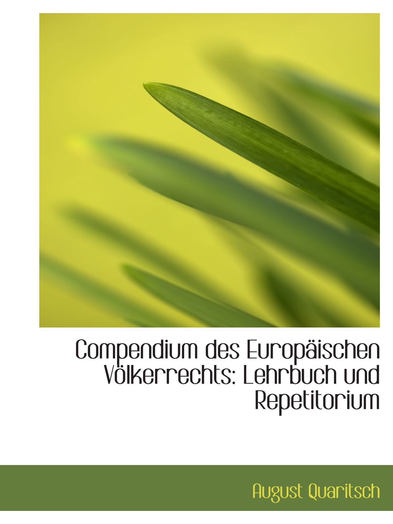 Compendium des Europäischen Völkerrechts: Lehrbuch und Repetitorium Politics & History