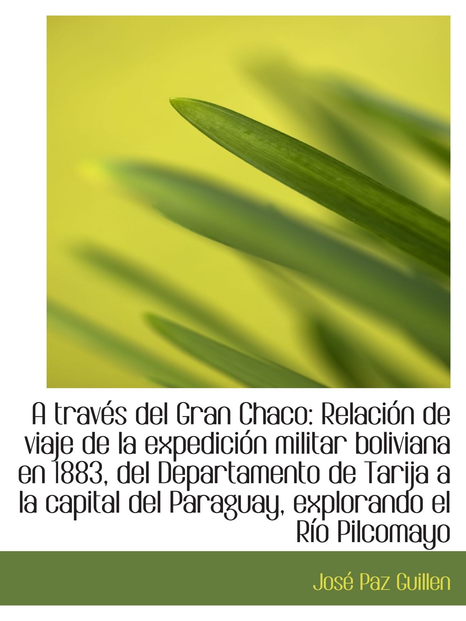 A través del Gran Chaco: Relación de viaje de la expedición militar boliviana en 1883, del Departame Politics & History