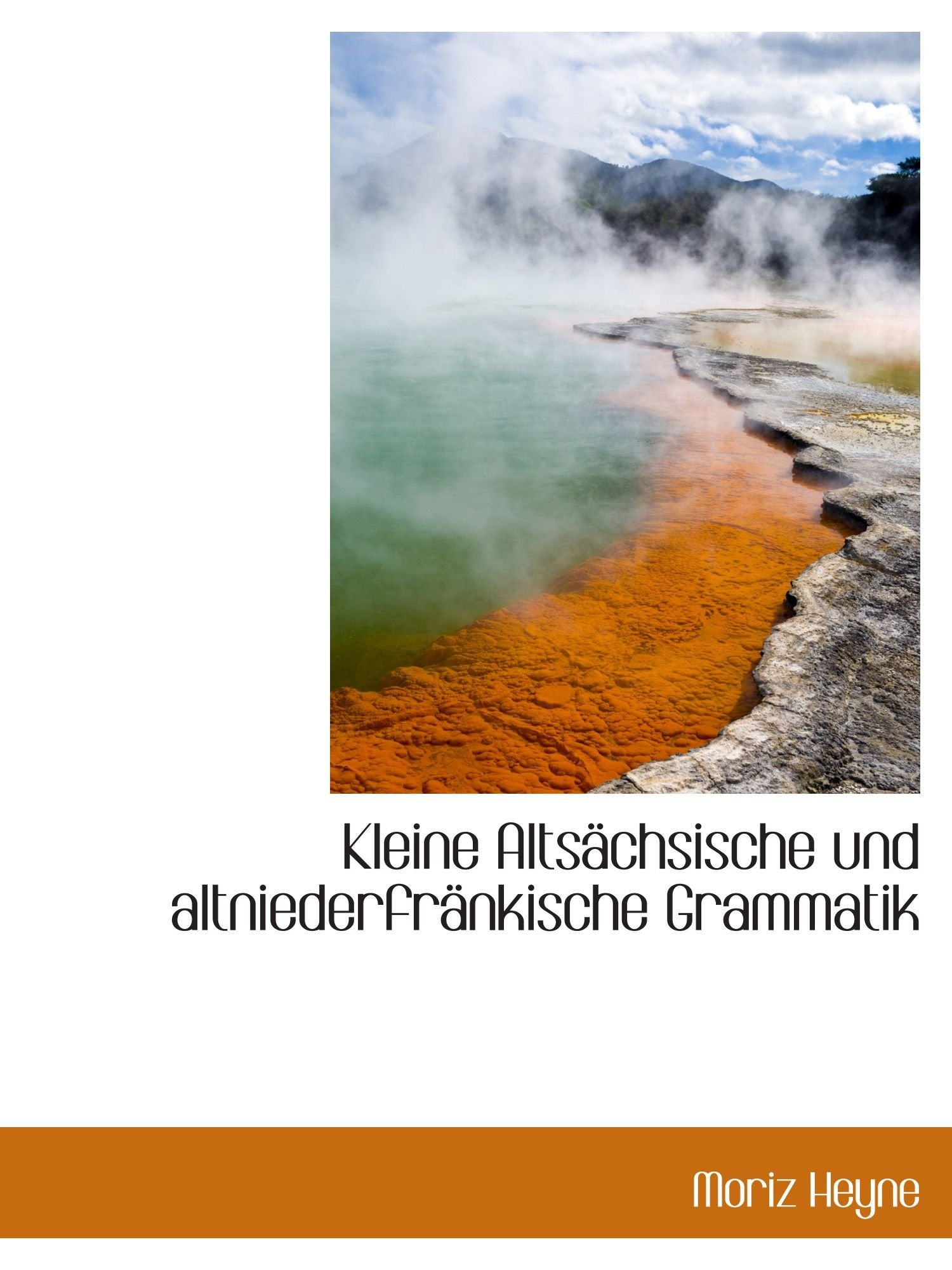 Kleine Altsächsische und altniederfränkische Grammatik Politics & History