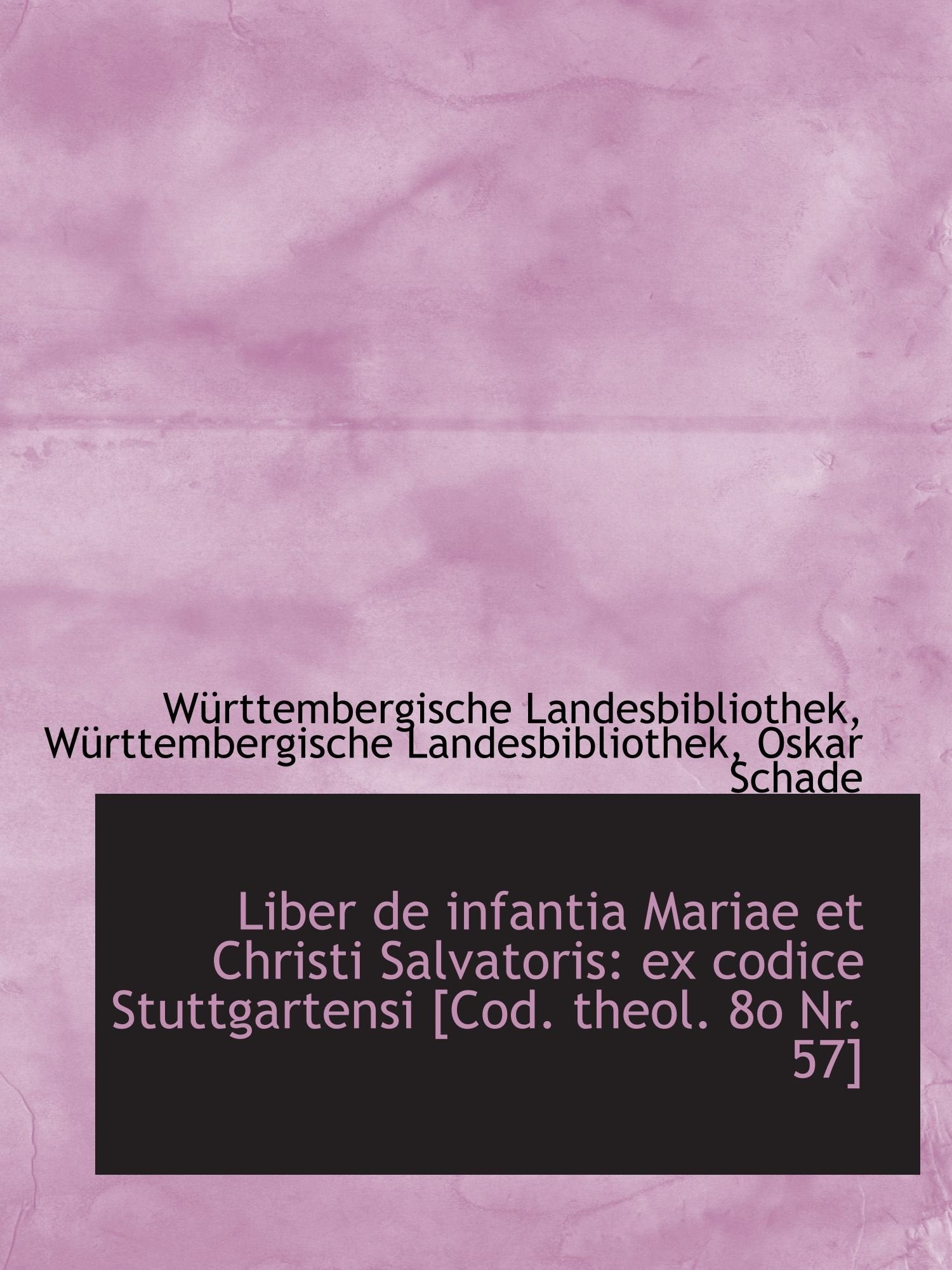 Liber de infantia Mariae et Christi Salvatoris: ex codice Stuttgartensi Politics & History