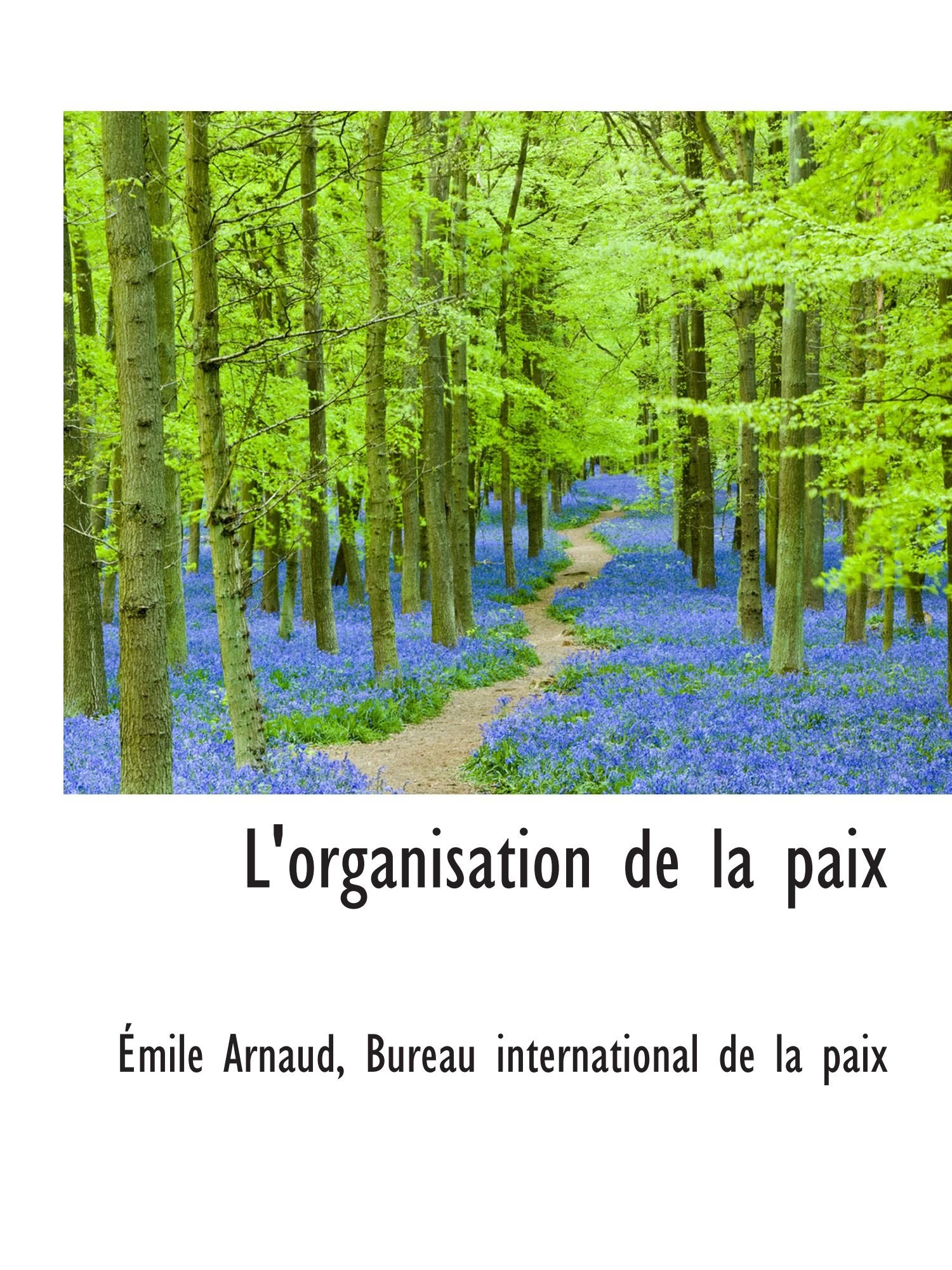 L'organisation de la paix Politics & History