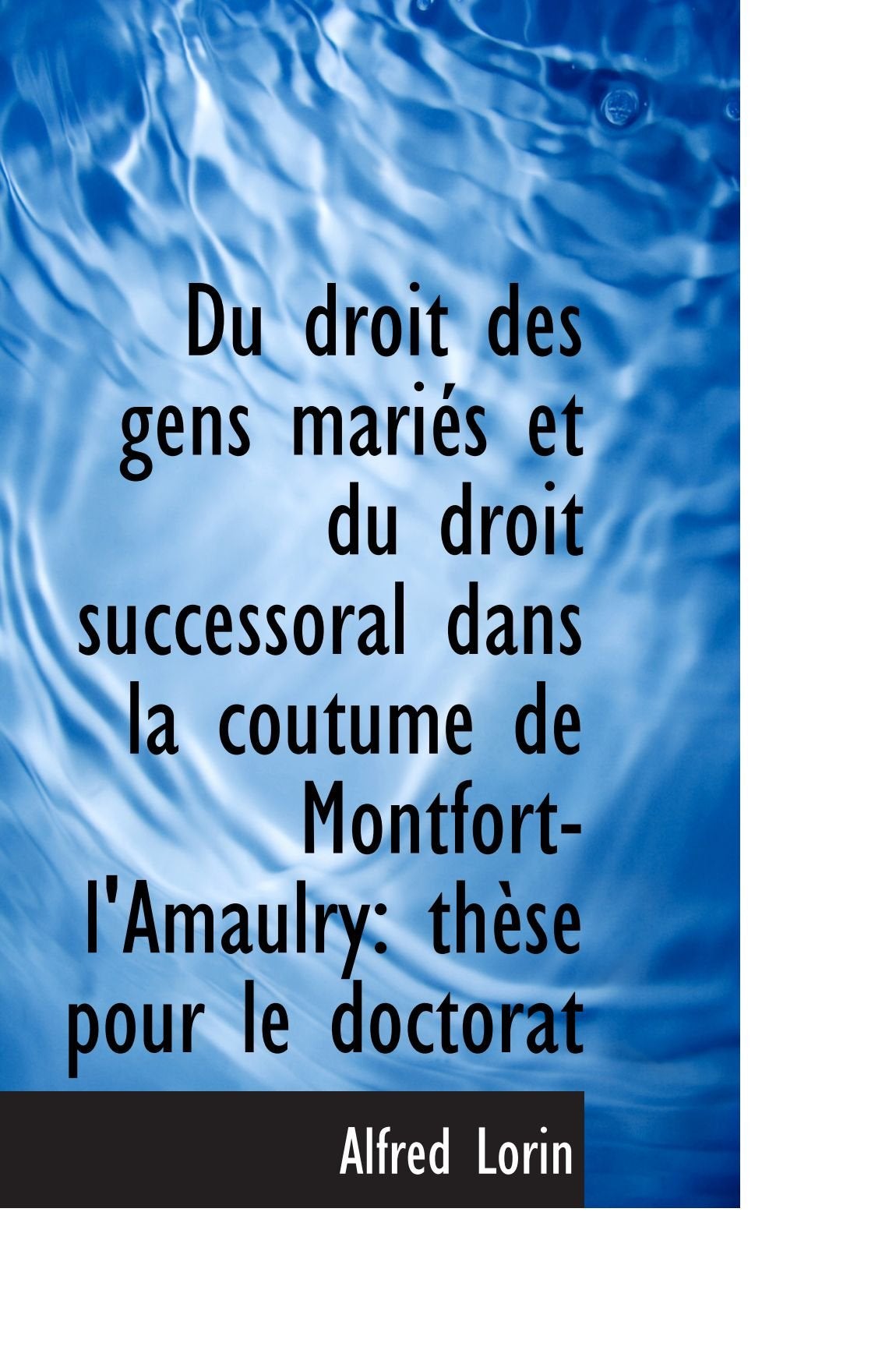 Du droit des gens mariés et du droit successoral dans la coutume de Montfort-l'Amaulry: thèse pour l Politics & History