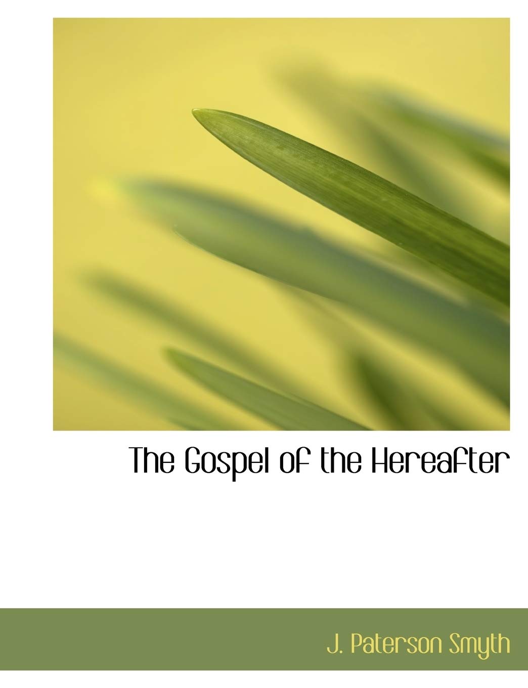 The Gospel of the Hereafter Politics & History