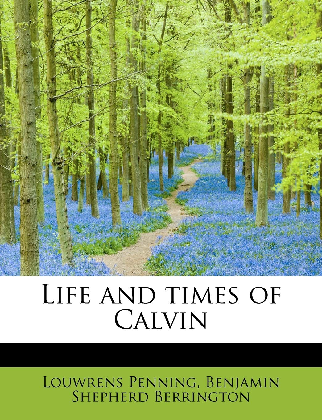Life and Times of Calvin Politics & History