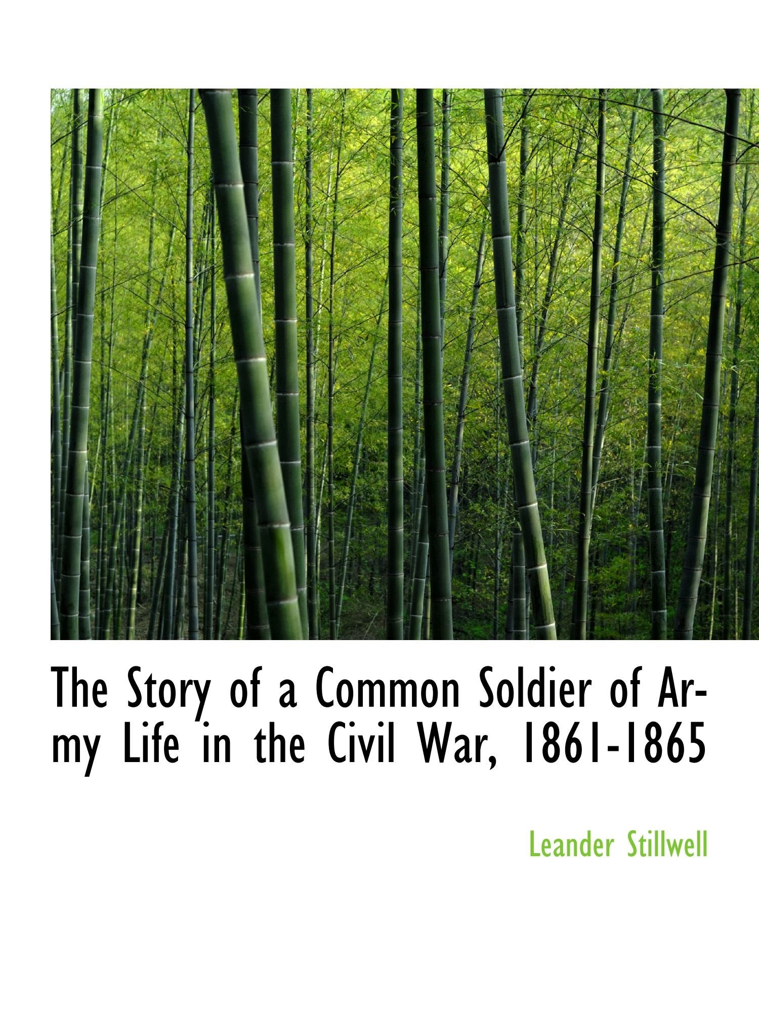 The Story of a Common Soldier of Army Life in the Civil War, 1861-1865 Politics & History