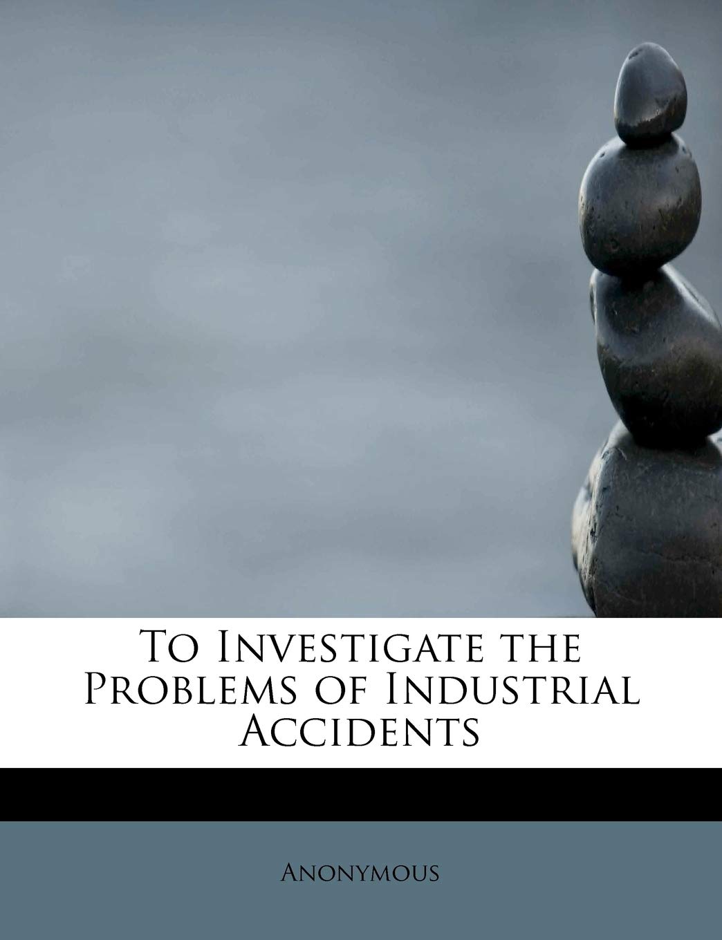 To Investigate the Problems of Industrial Accidents Politics & History