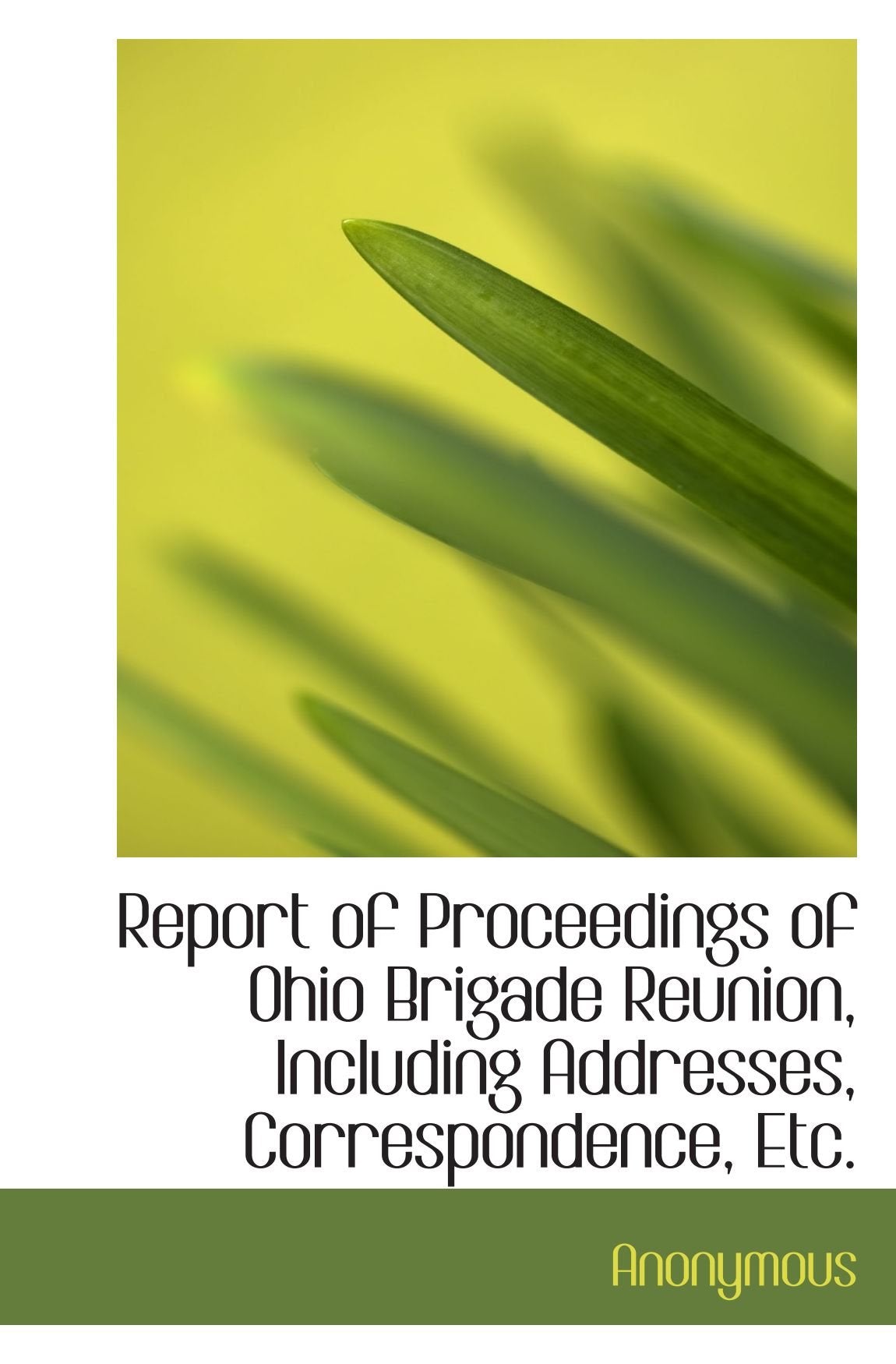 Report of Proceedings of Ohio Brigade Reunion, Including Addresses, Correspondence, Etc. Politics & History