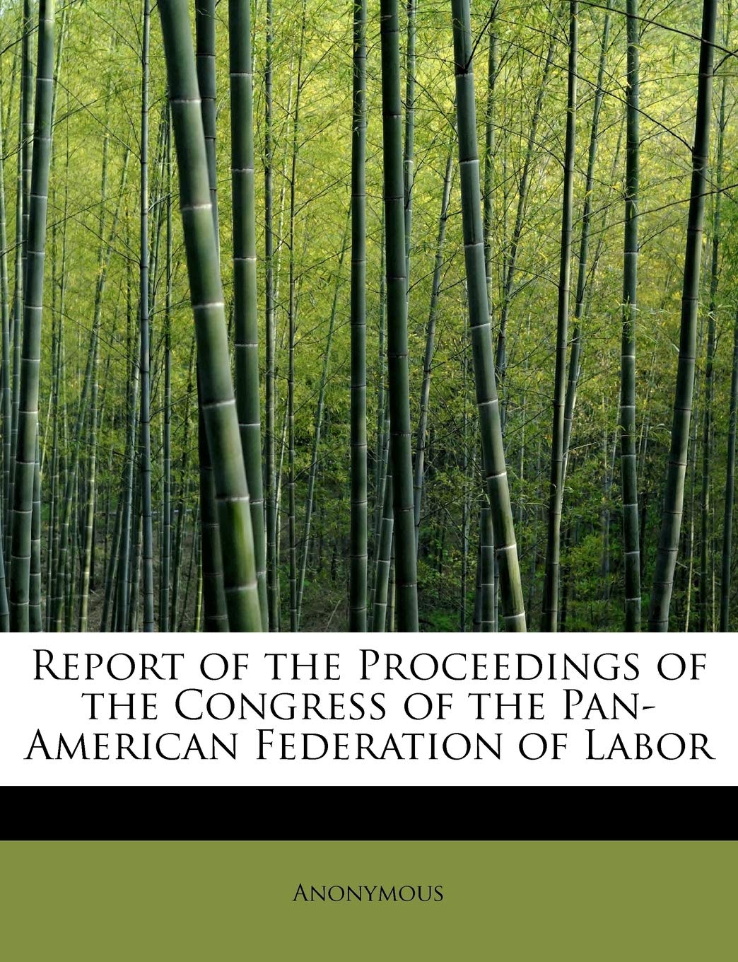 Report of the Proceedings of the Congress of the Pan-American Federation of Labor Politics & History