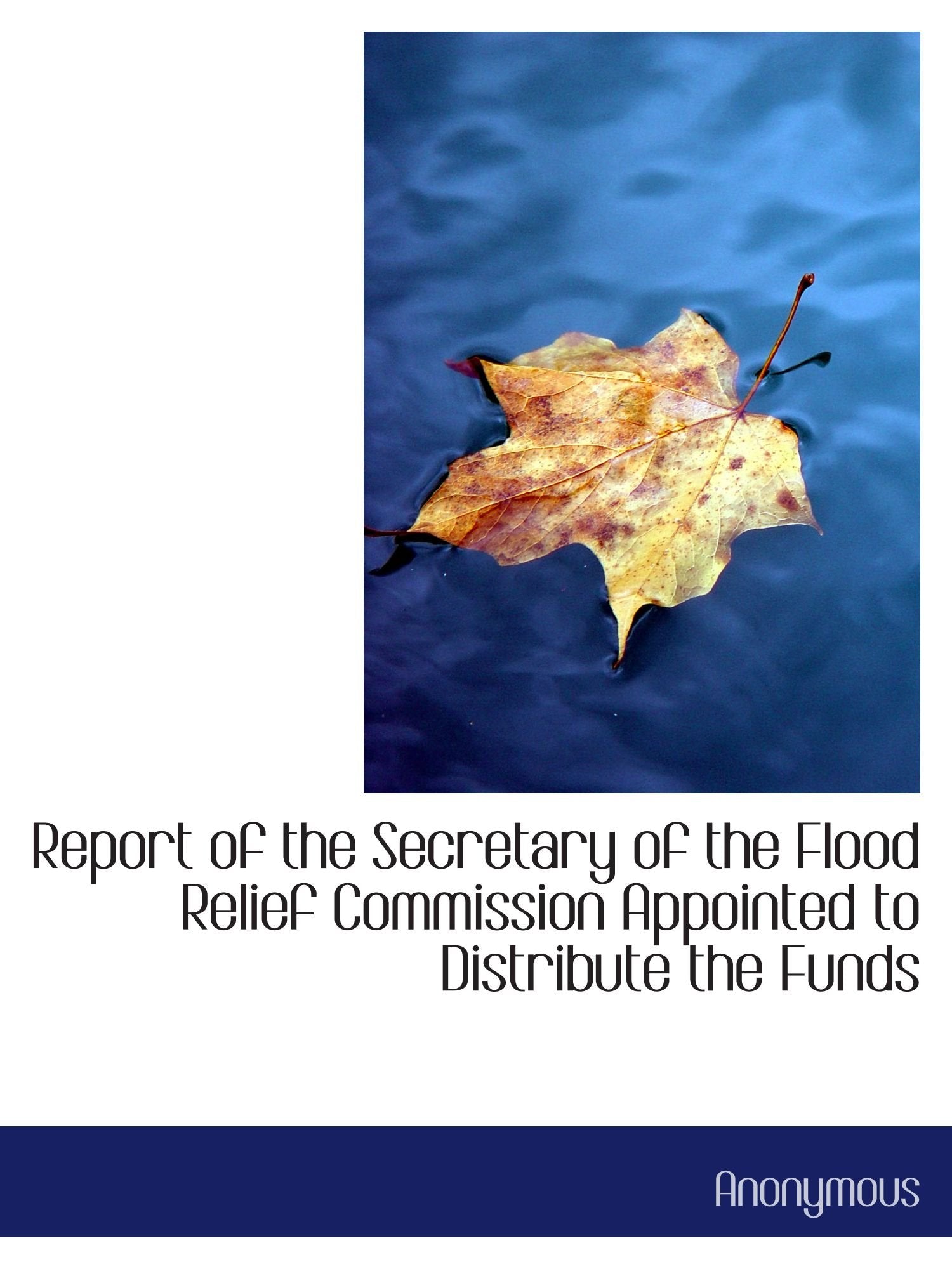 Report of the Secretary of the Flood Relief Commission Appointed to Distribute the Funds Politics & History
