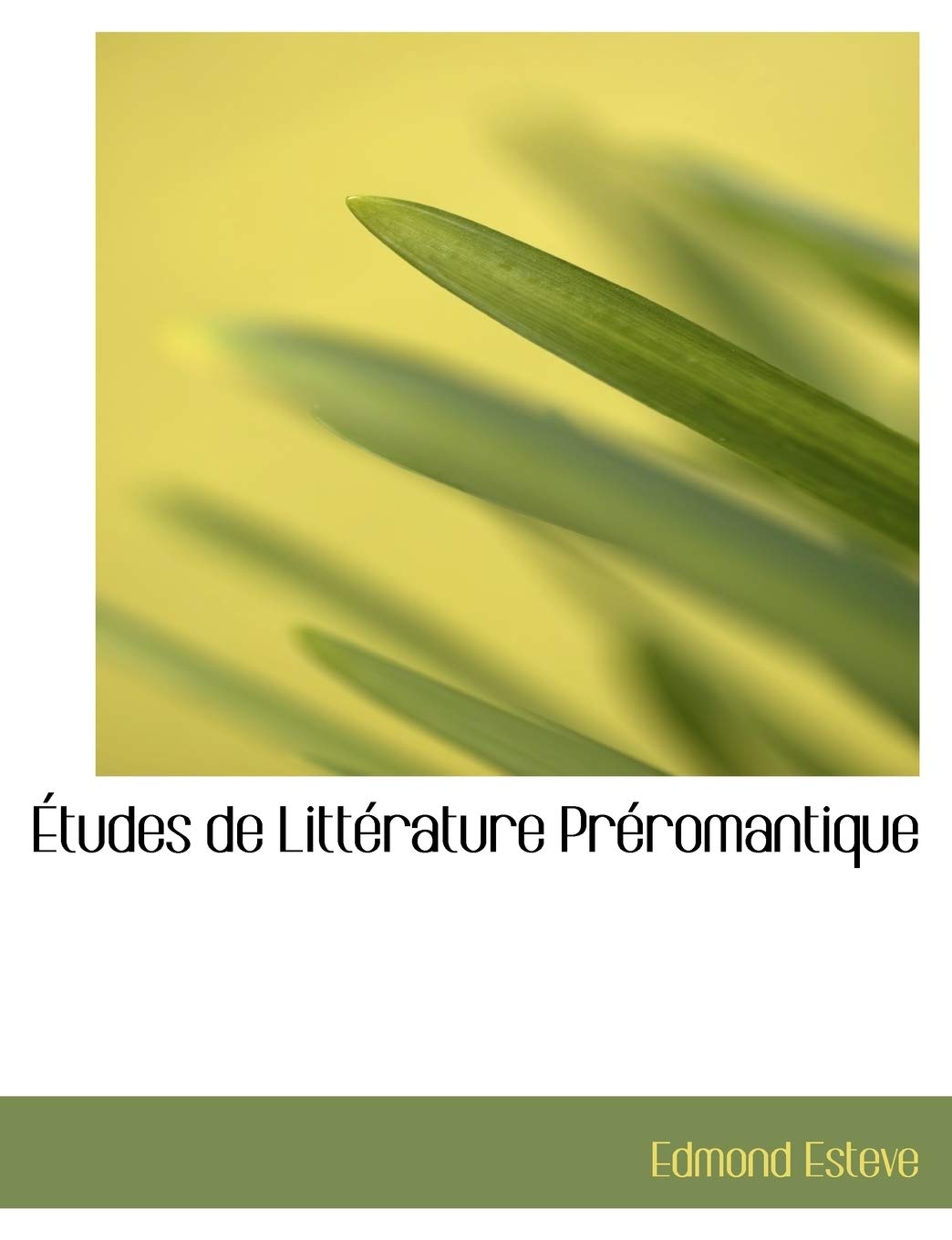 Tudes de Litt Rature PR Romantique Politics & History