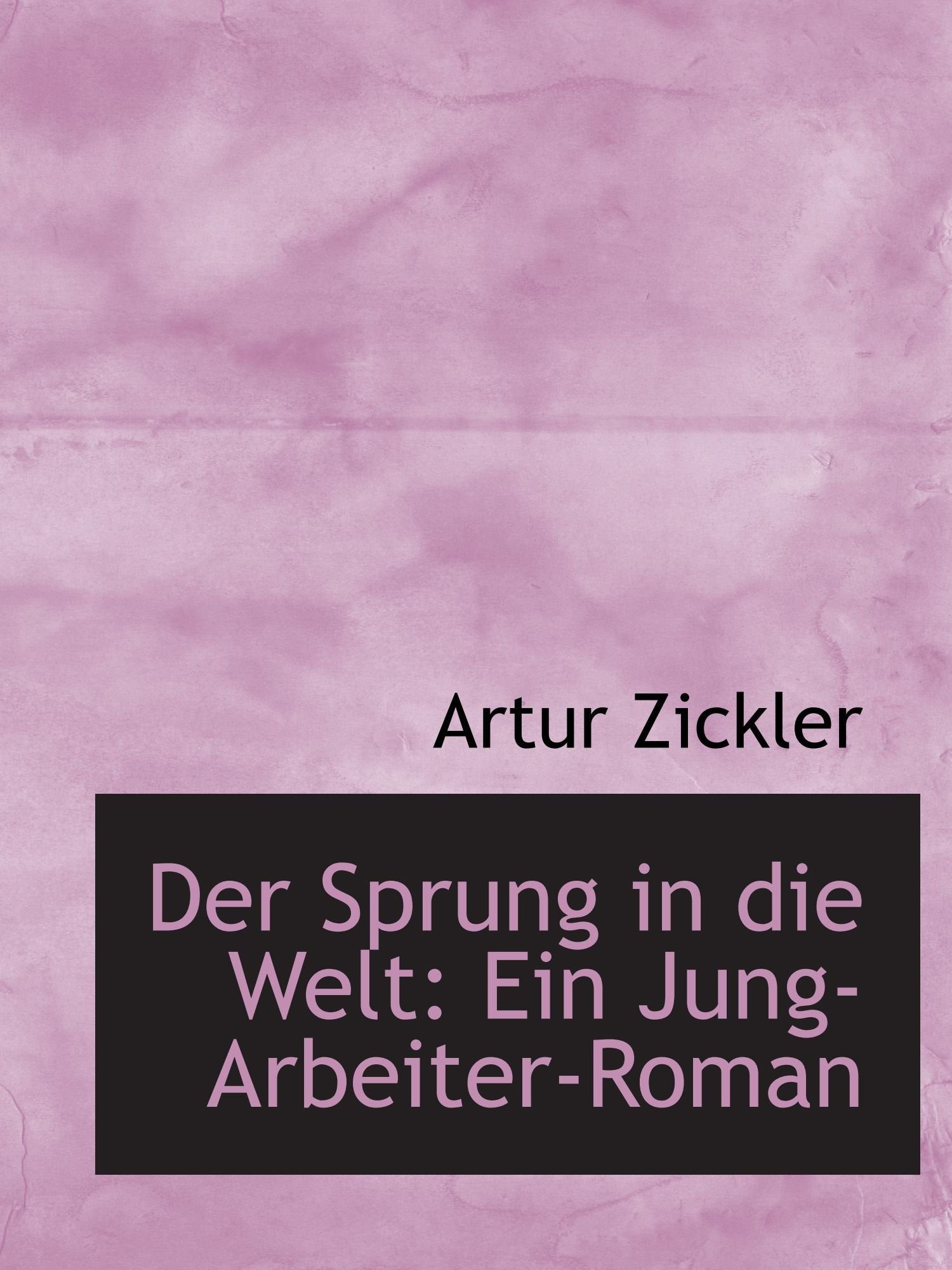 Der Sprung in die Welt: Ein Jung-Arbeiter-Roman Politics & History