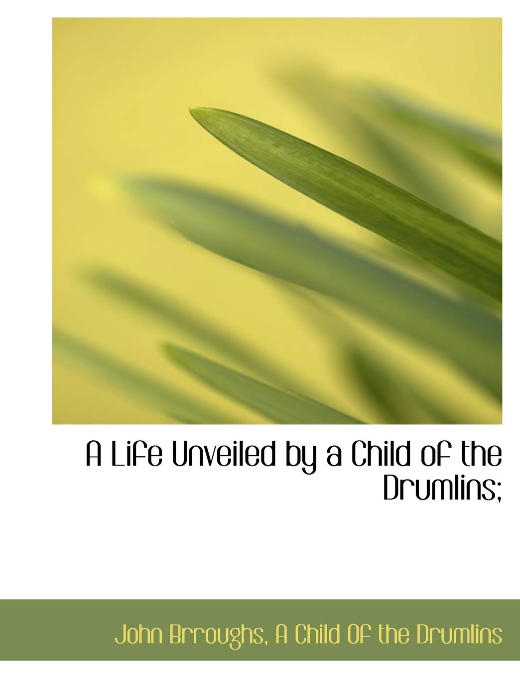 A Life Unveiled by a Child of the Drumlins; Politics & History