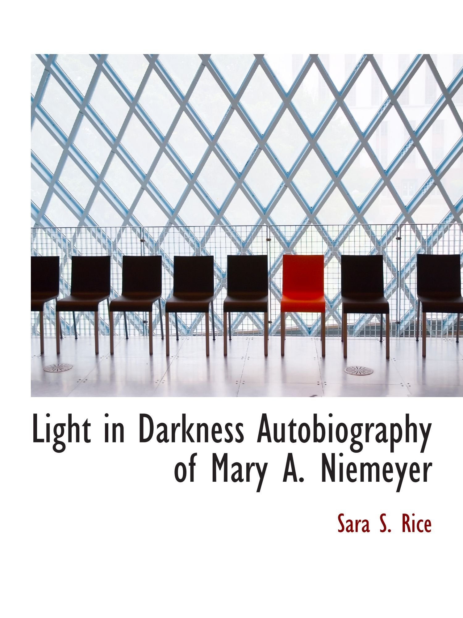 Light in Darkness Autobiography of Mary A. Niemeyer Politics & History