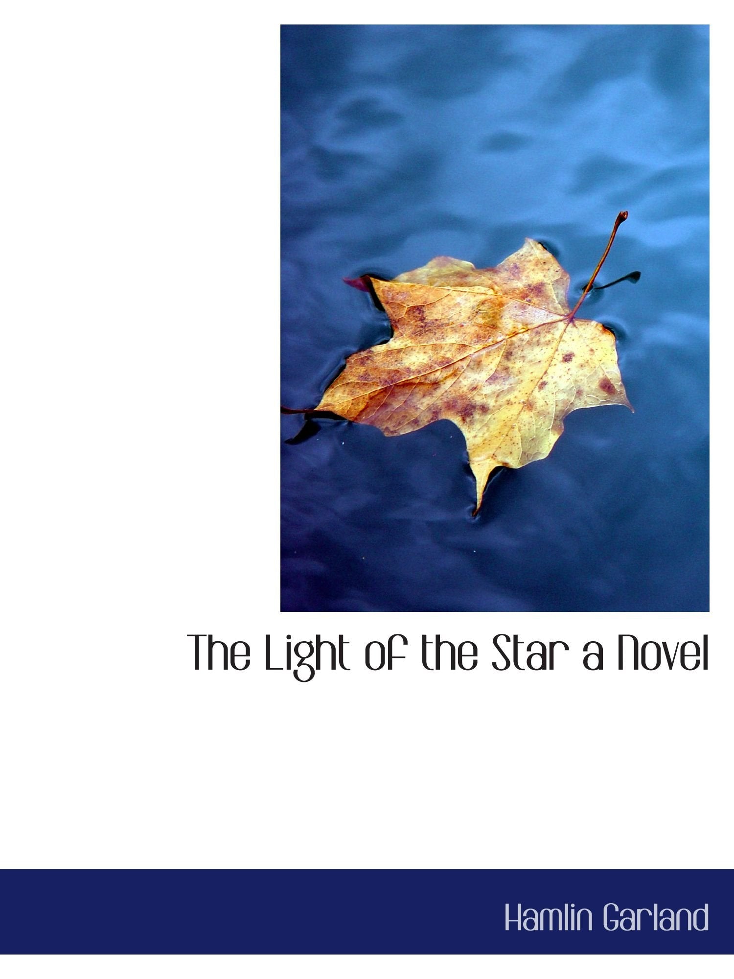 The Light of the Star a Novel Books