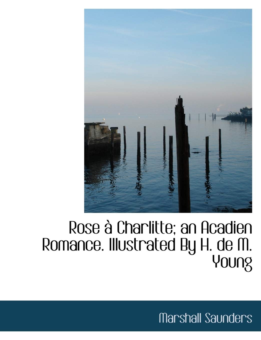 Rose a Charlitte; An Acadien Romance. Illustrated by H. de M. Young Politics & History