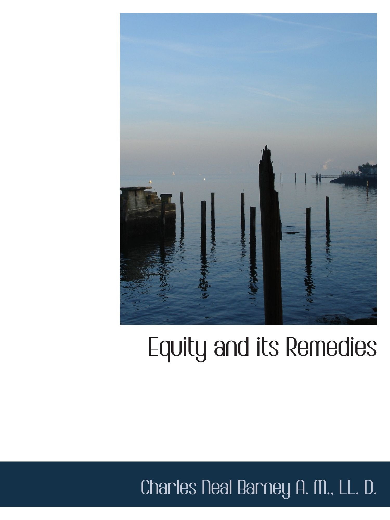 Equity and its Remedies Politics & History