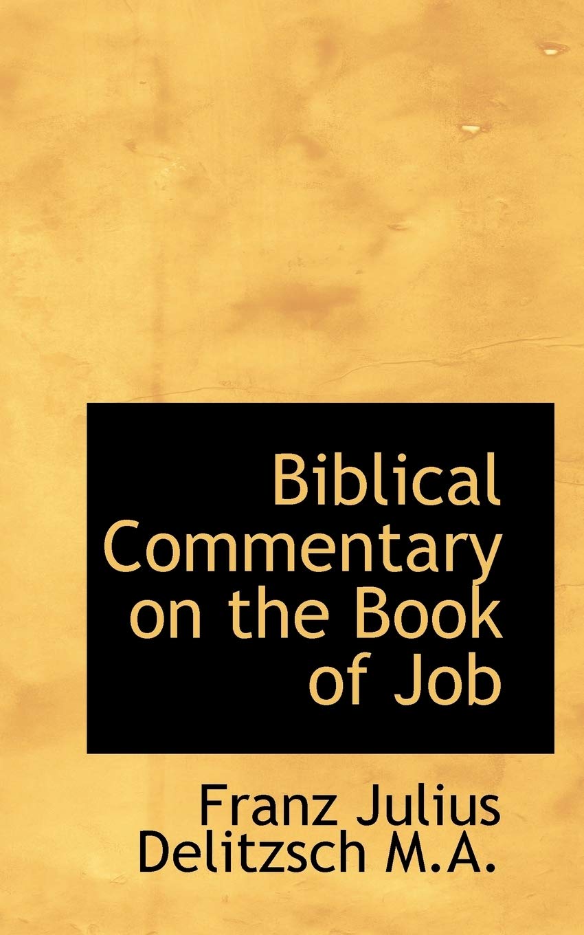 Biblical Commentary on the Book of Job Politics & History