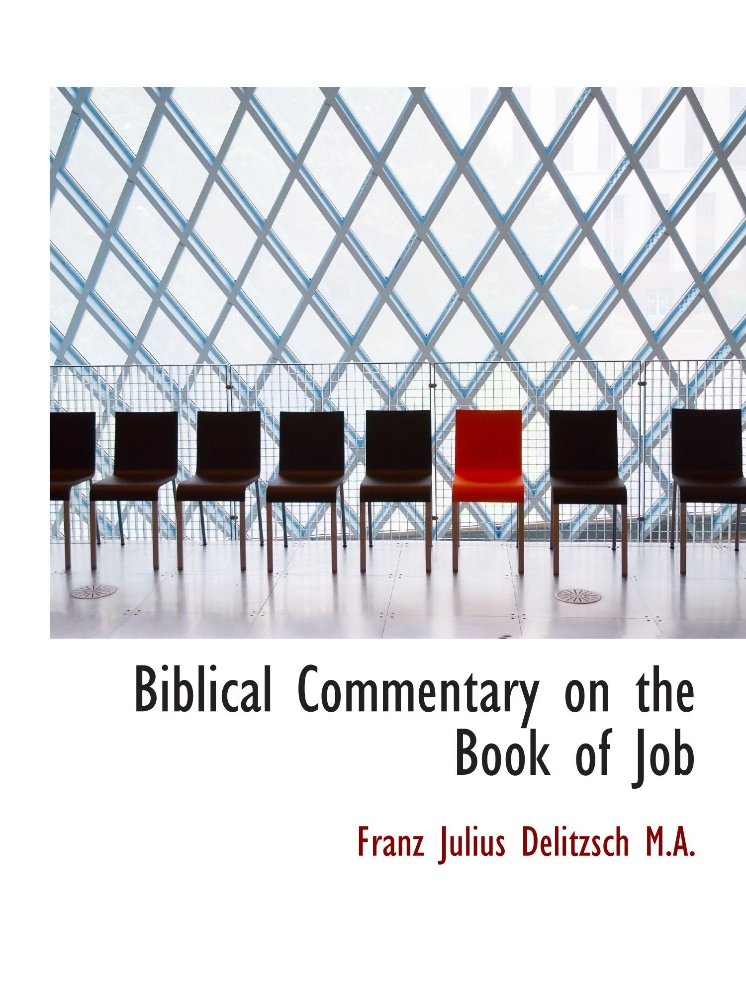 Biblical Commentary on the Book of Job Politics & History