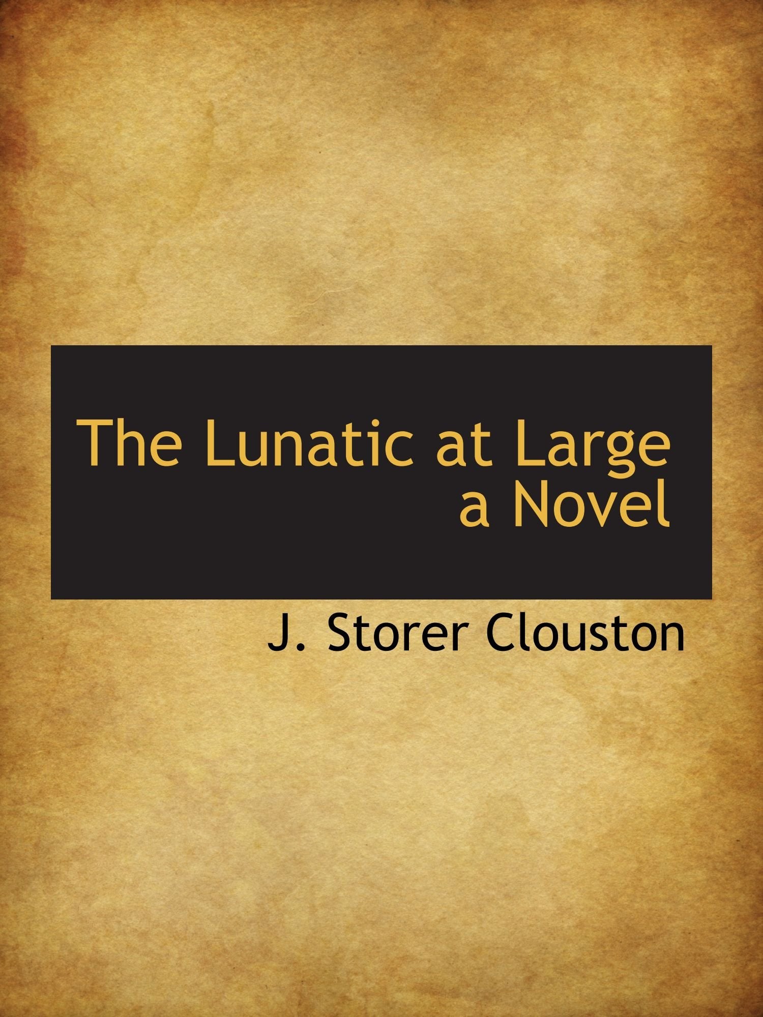 The Lunatic at Large a Novel Books