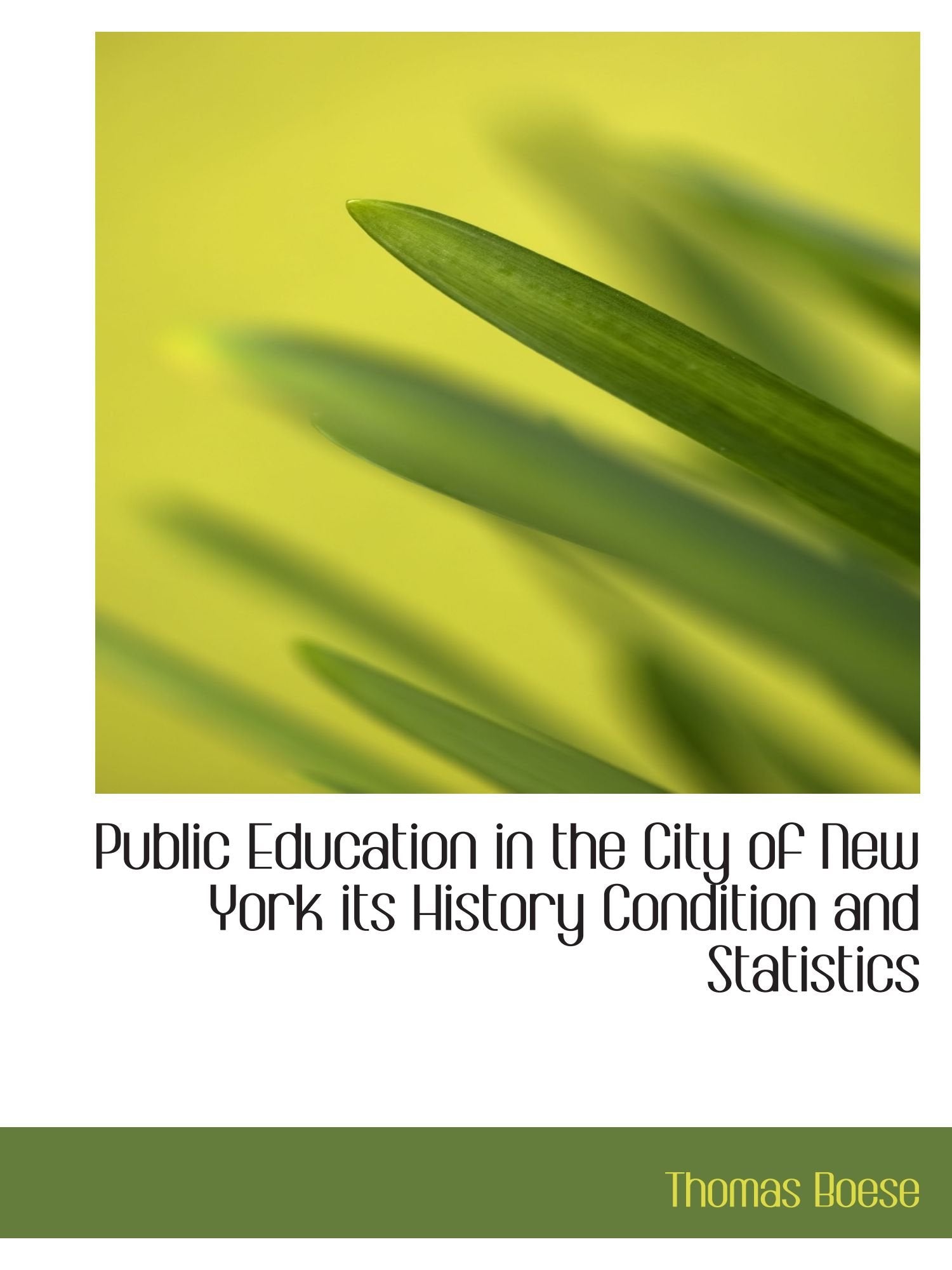 Public Education in the City of New York its History Condition and Statistics Politics & History