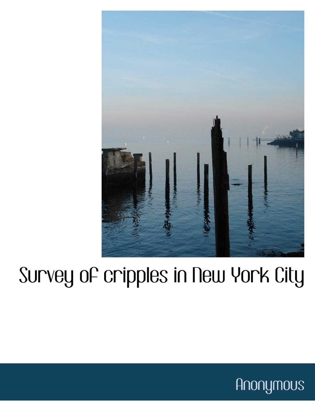 Survey of cripples in New York City Business, Finance & Career