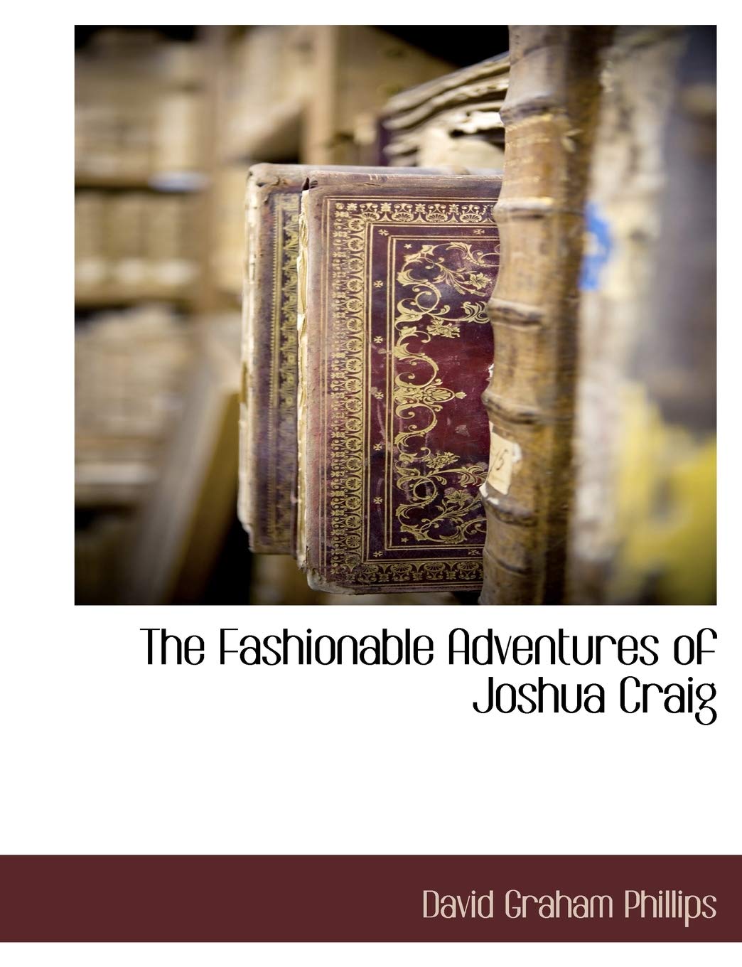 The Fashionable Adventures of Joshua Craig Politics & History