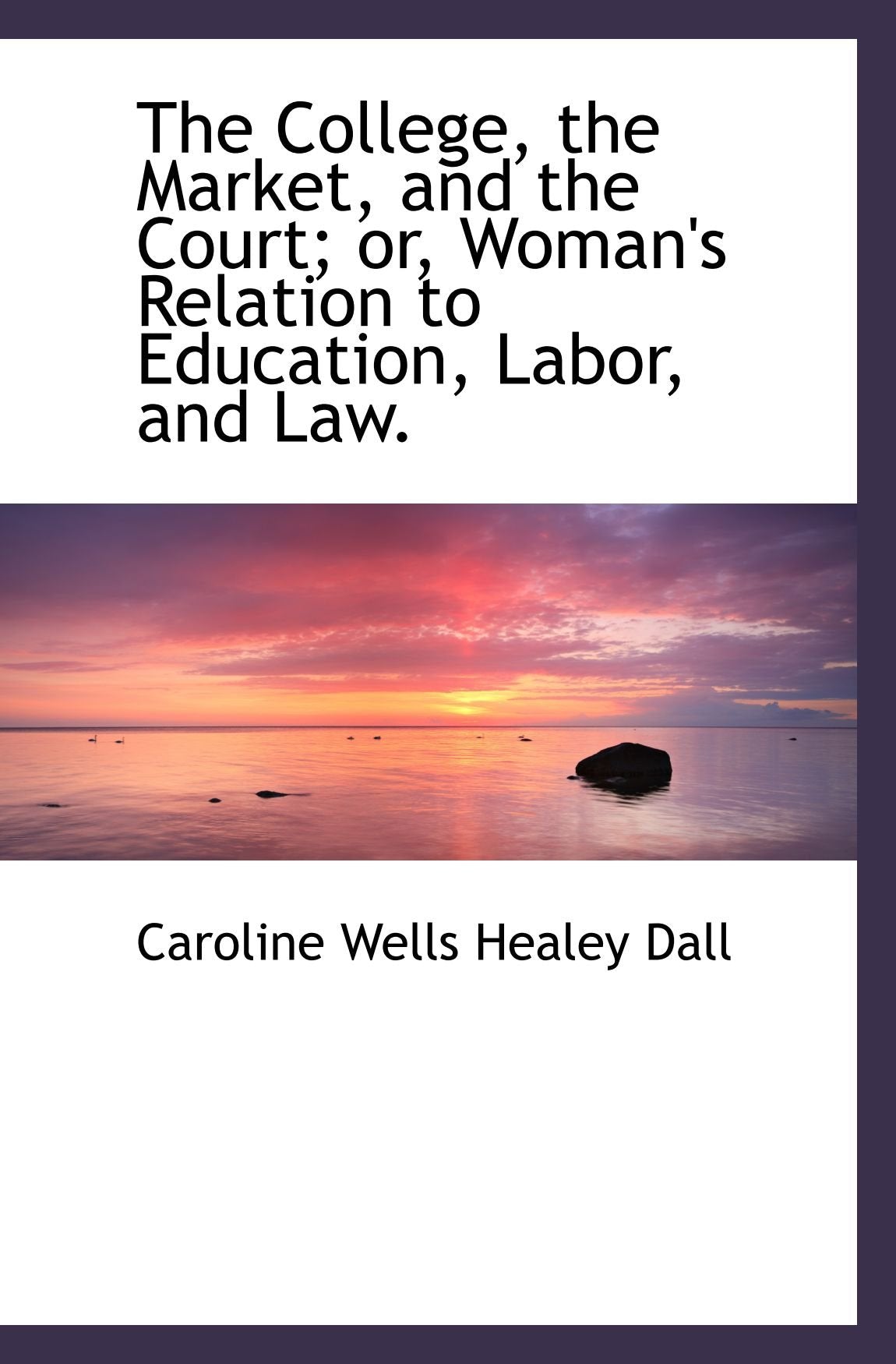The College, the Market, and the Court; or, Woman's Relation to Education, Labor, and Law. Politics & History