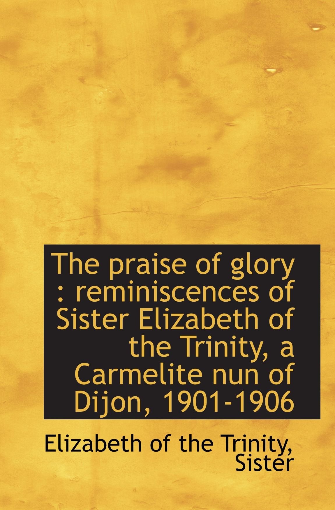 The praise of glory : reminiscences of Sister Elizabeth of the Trinity, a Carmelite nun of Dijon, 19 Politics & History