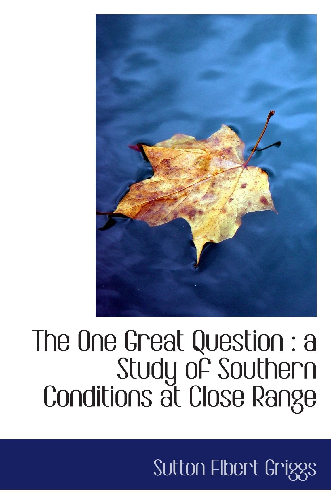 The One Great Question : a Study of Southern Conditions at Close Range Politics & History