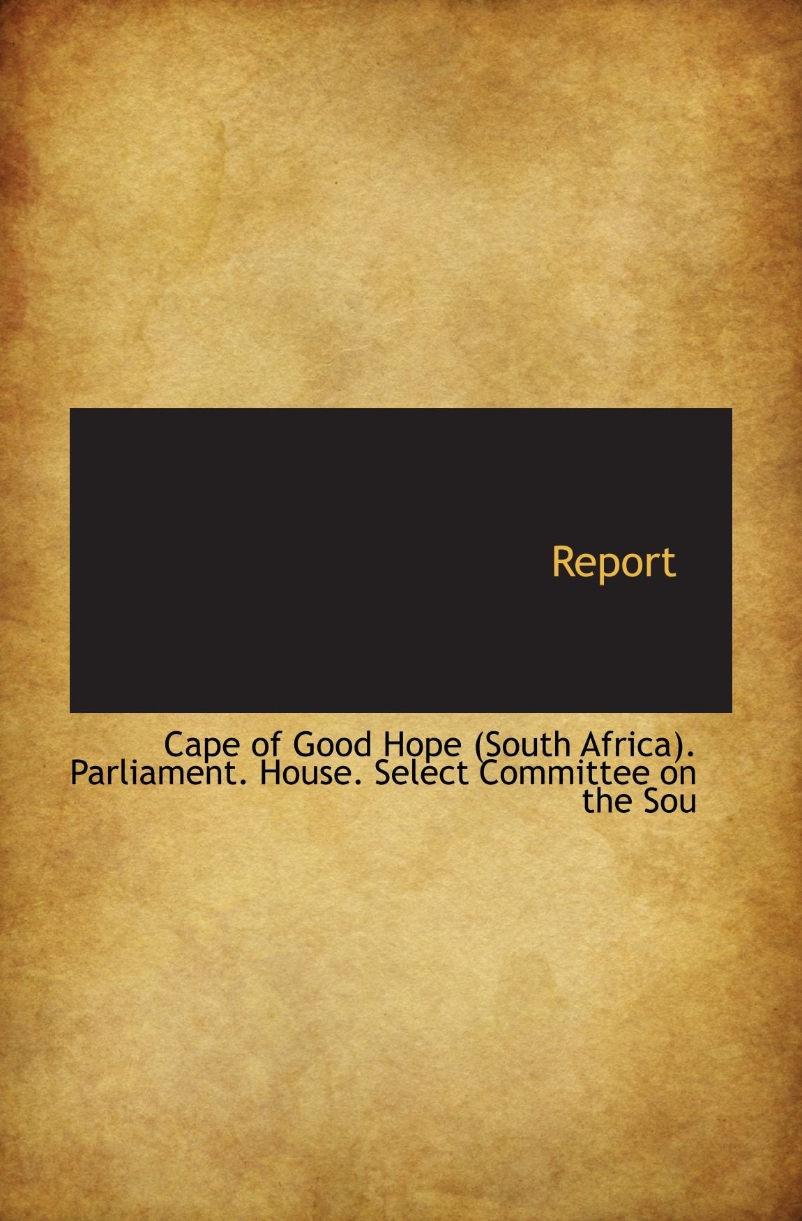 Report Politics & History