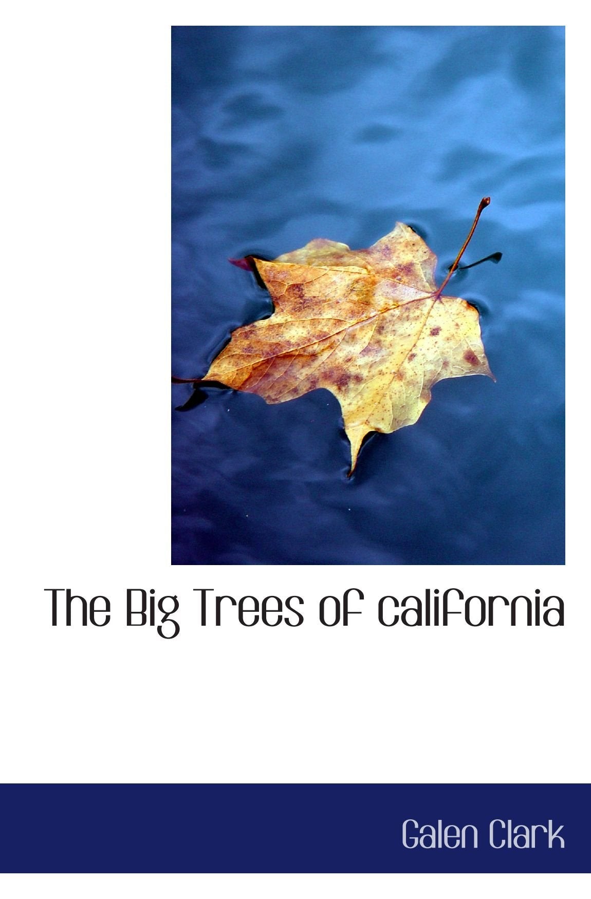 The Big Trees of california Politics & History