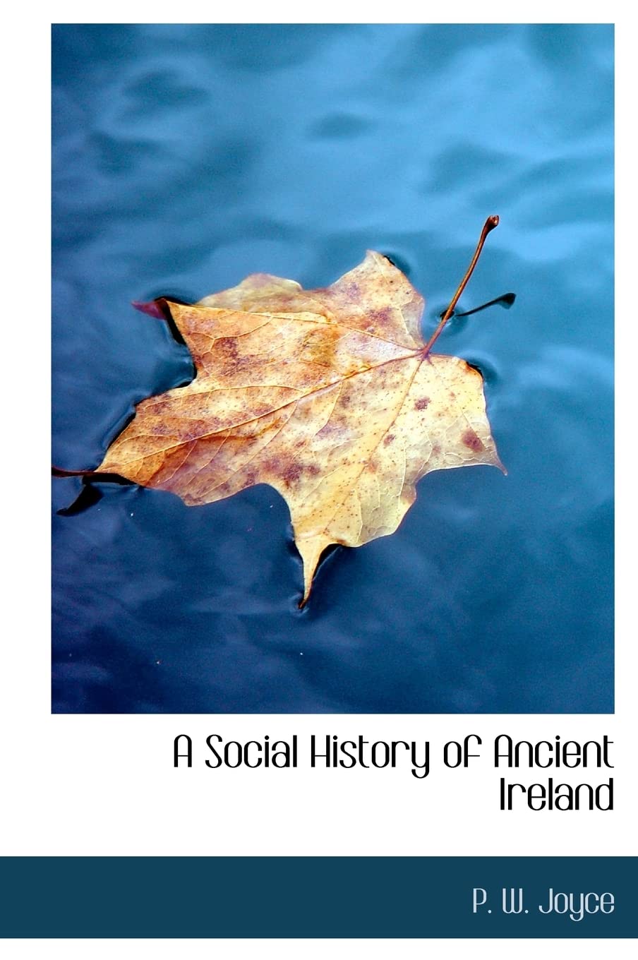 A Social History of Ancient Ireland Politics & History