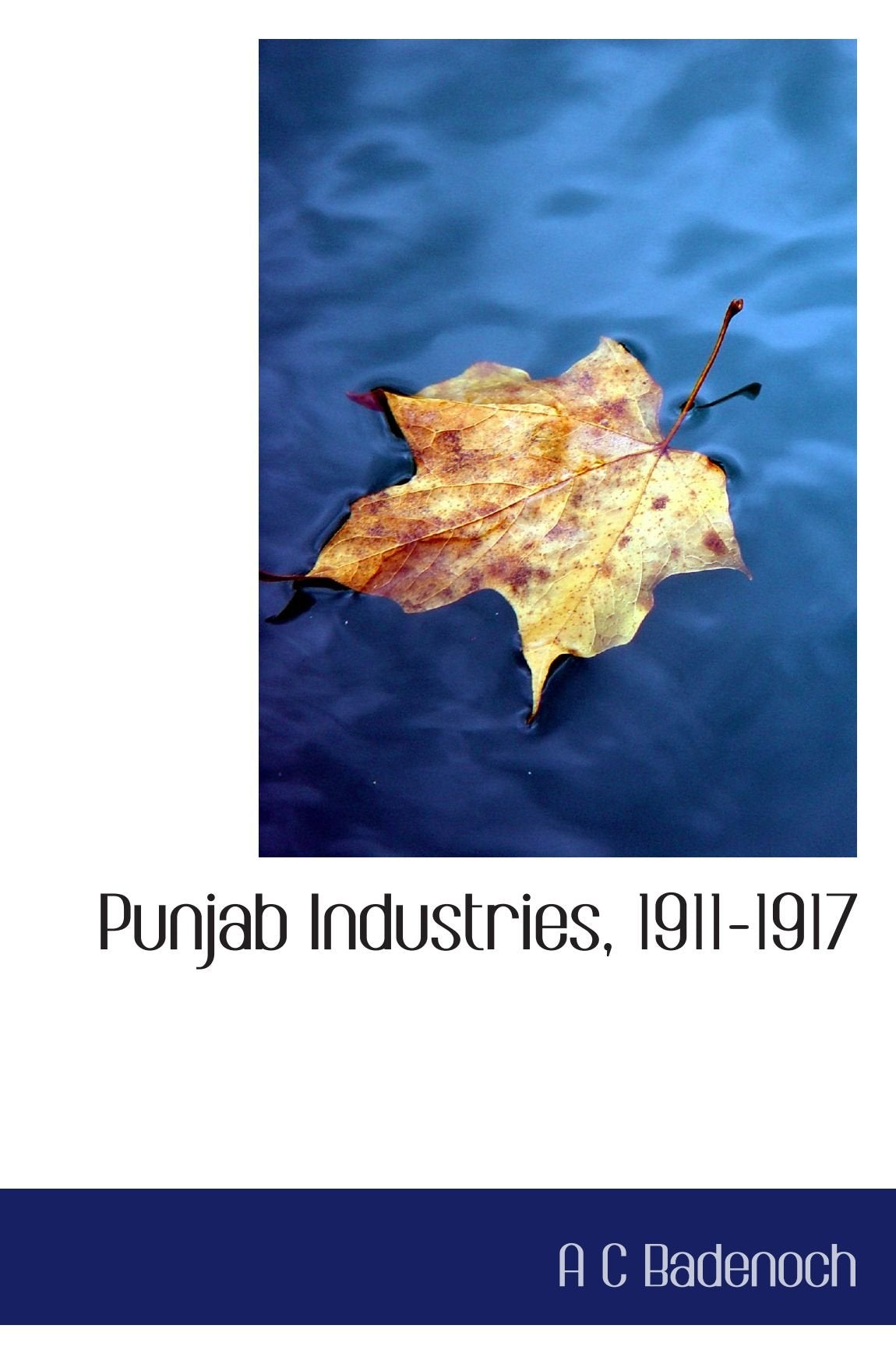 Punjab Industries, 1911-1917 Politics & History