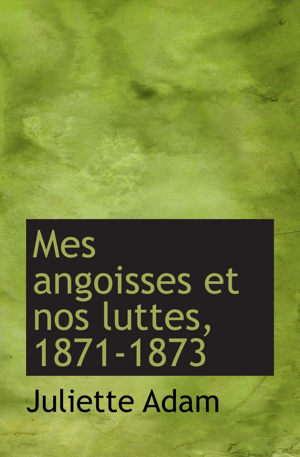 Mes angoisses et nos luttes, 1871-1873 book